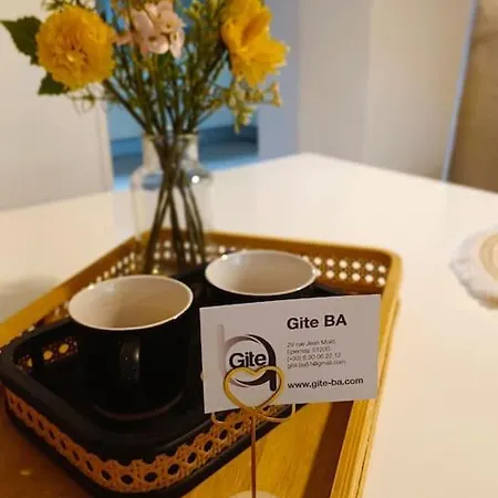 Ba2 Centre Vue Sur Parc Appartamento Épernay